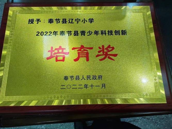 辽宁小学两名同学获奉节县青少年科技创新县长奖,学校获培育奖!
